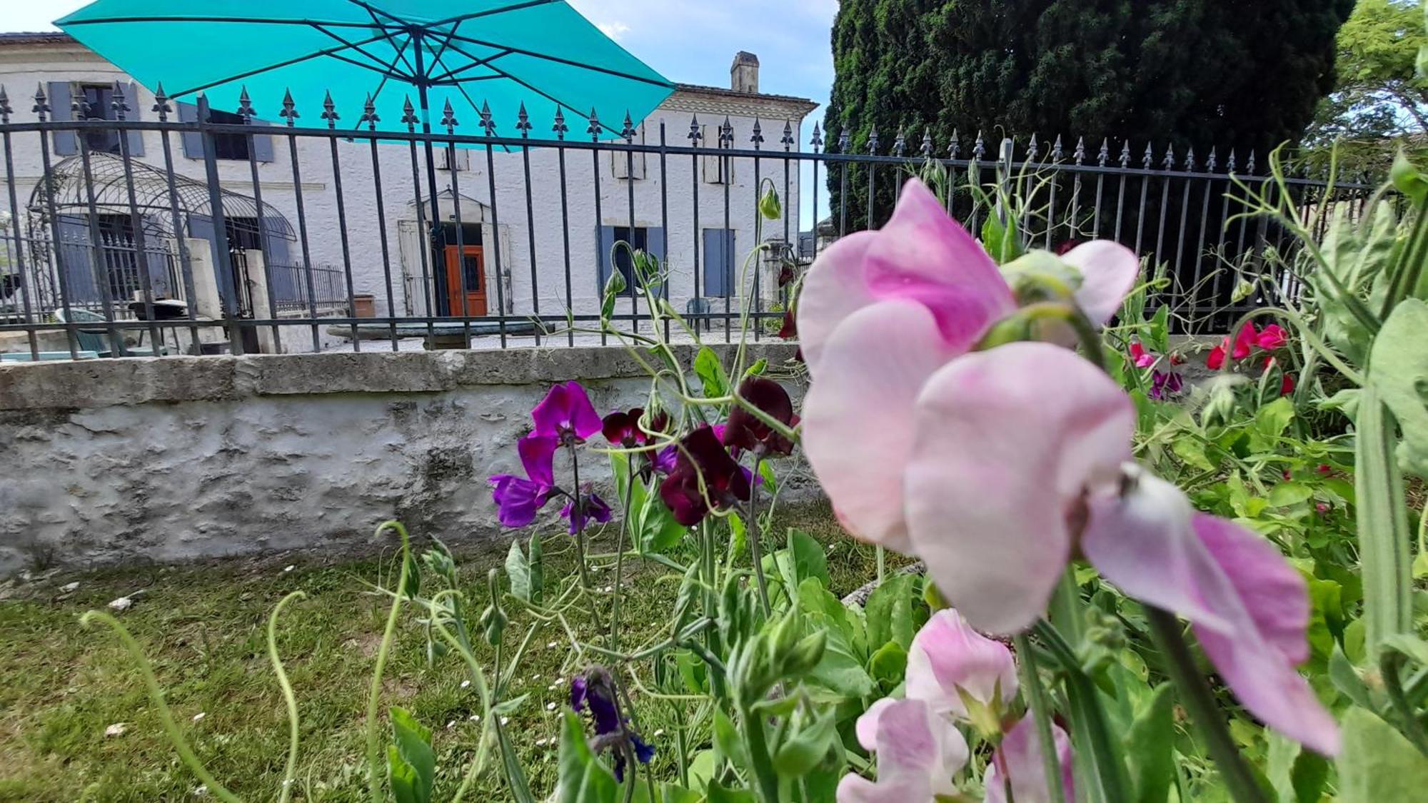 Le Clos Des Quatre Lieues Hotell Cartelegue Exteriör bild